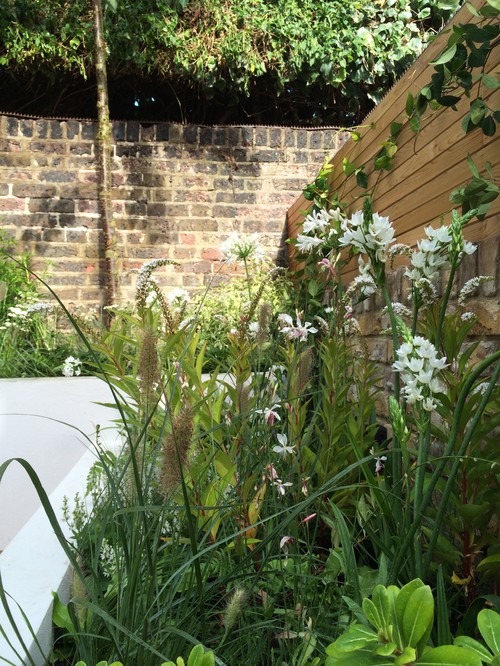 Garden Wall