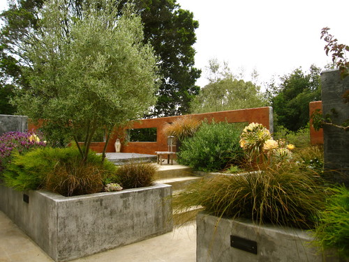 Contemporary Patio