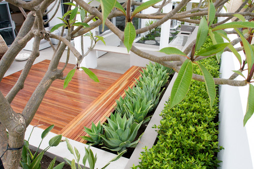 Garden Flower Bed