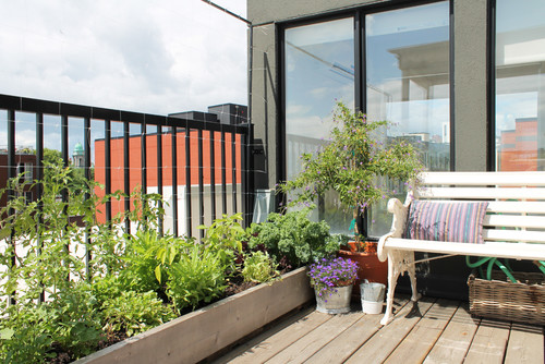 Renovated Roof Garden